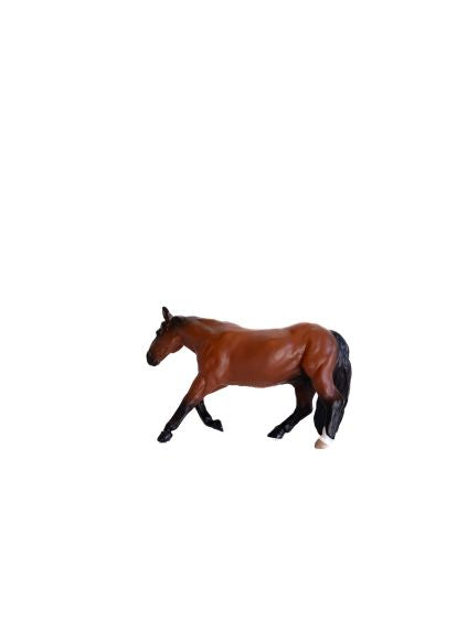 Little Buster Bay Gelding Barrel Horse
