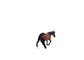 Little Buster Bay Gelding Barrel Horse