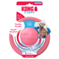 Kong Puppy Flyer