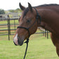 Professional's Choice Equisential Rope Halter