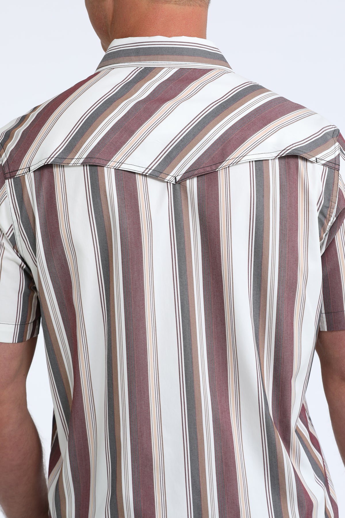 Cinch Camp Shirt in Burgundy & White Stripe