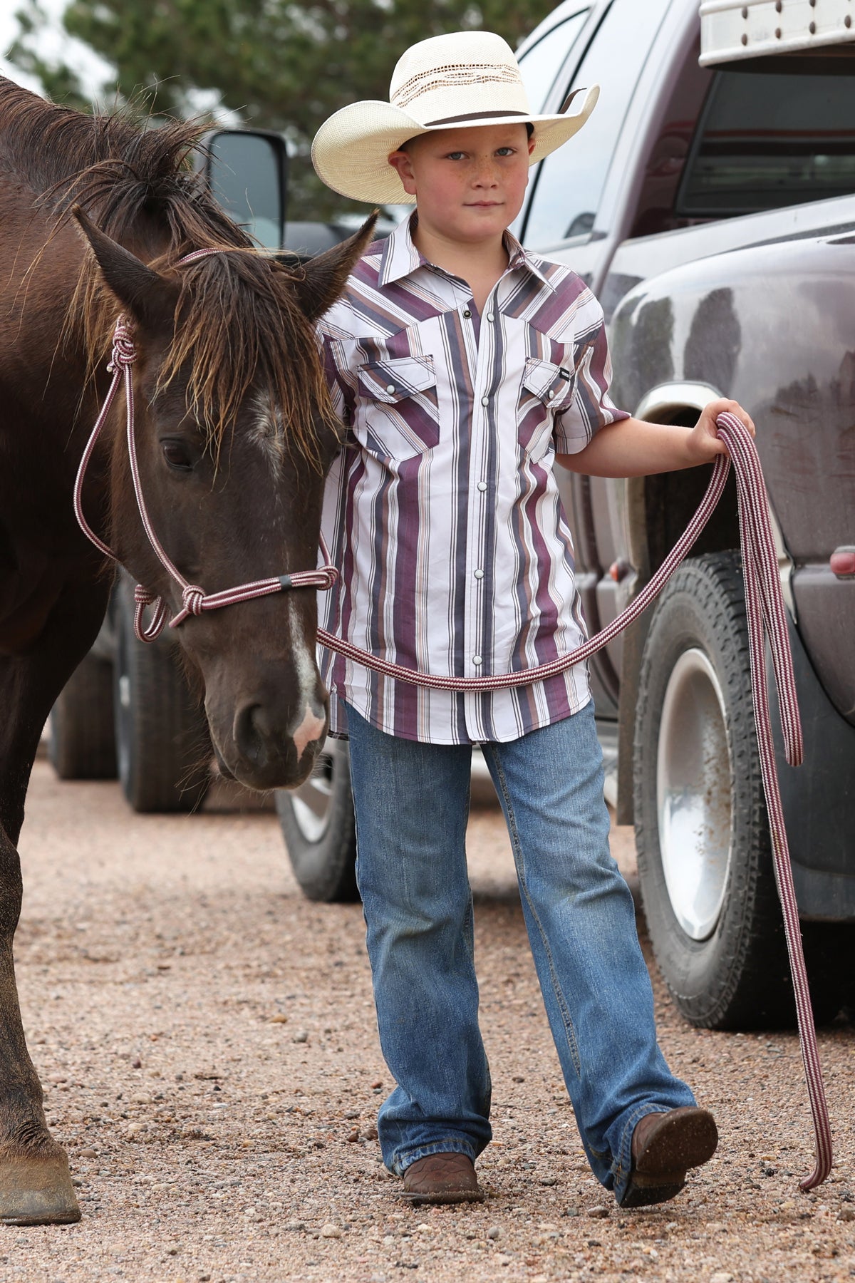 Cinch Boy's Striped Short Sleeve Snap Shirt in Burgundy & White