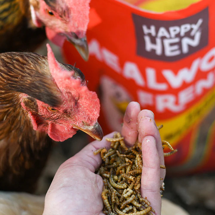 Happy Hen Treats Mealworm Frenzy