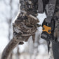 Muddy The Ambush Safety Harness