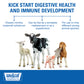Sav-A-Caf Multi-Species Colostrum Supplement