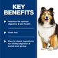 Hill's Science Diet Adult Sensitive Stomach & Skin Salmon & Vegetable Entrée Dog Food