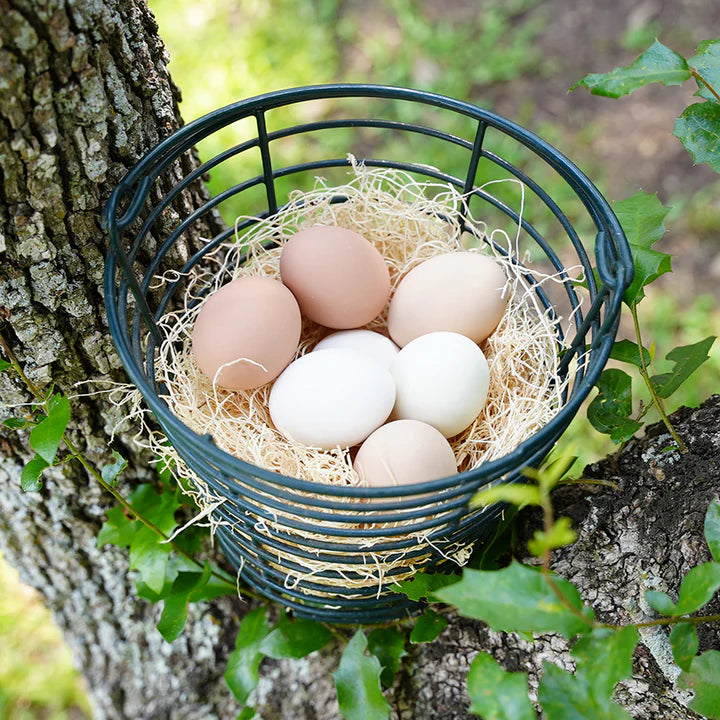 Happy Hen Excelsior Nesting Pads