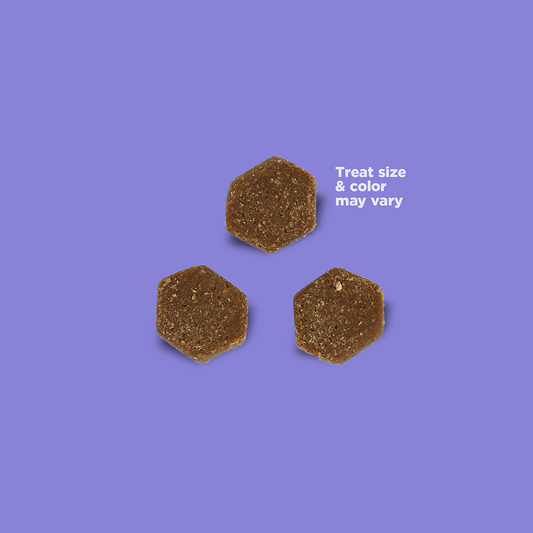 NutriSource Grain Free Turkey Little Bites