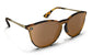Blenders North Park X2 Brandy Night Sunglasses