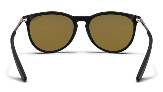 Blenders Rose Theater II North Park X2 Sunglasses