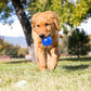 Kong Squeezz® Ball - X-Large
