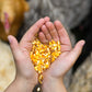 Happy Hen Party Mix Corn and Mealworm Blend