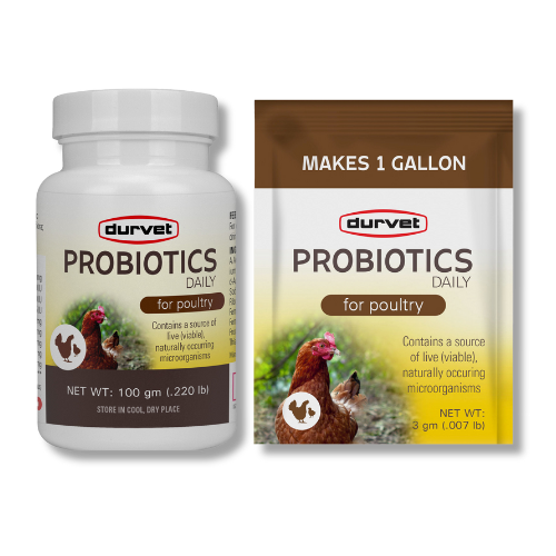 Durvet® Probiotics Daily Singles