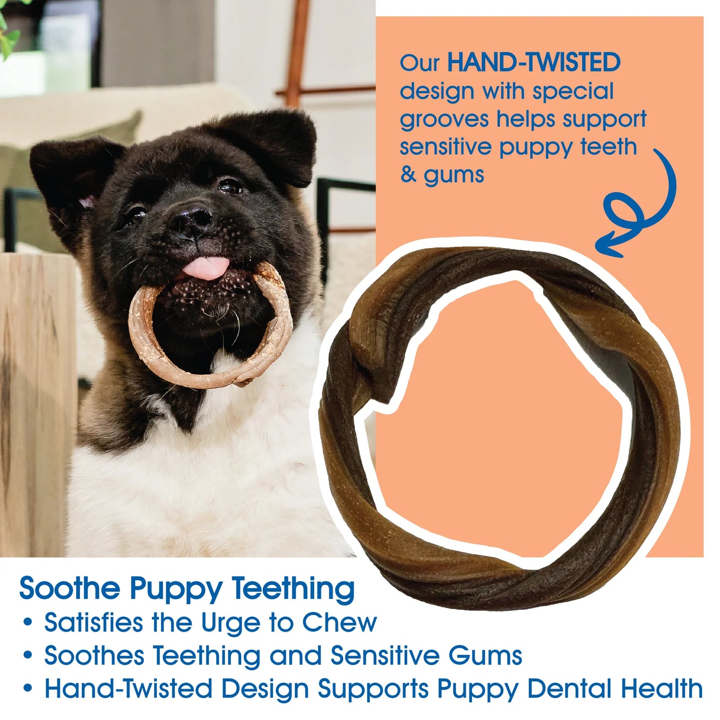 N-Bone Puppy Teething Rings Taste of Texas-Pulled Pork Flavor