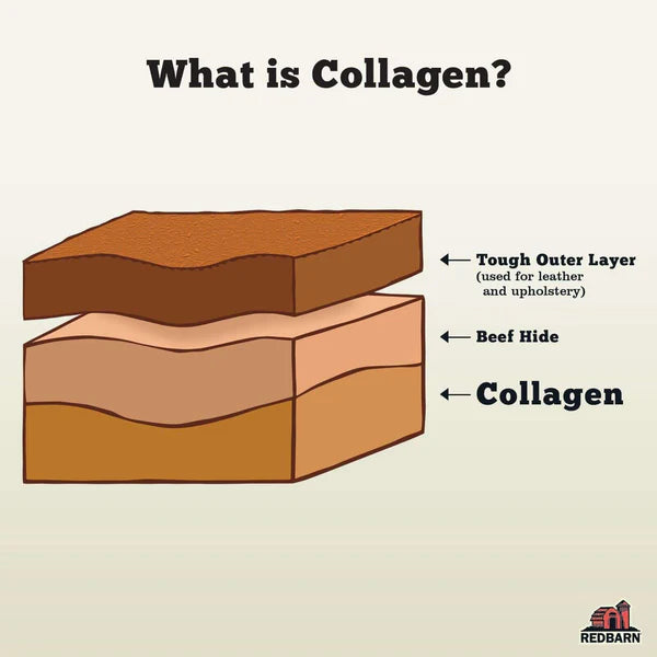 Redbarn Large Collagen Braid