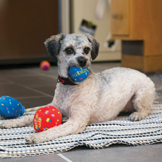 Kong Birthday Balls 2-Pack