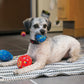 Kong Birthday Balls 2-Pack