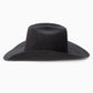 Resistol 6X The SP Cowboy Hat in Black