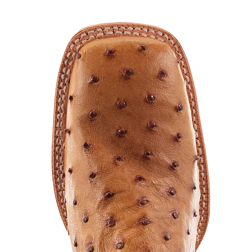 R. Watson Men’s Antique Saddle Full Quill Ostrich Wide Square 13″ Boot
