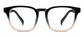 Peepers Latte Black/Taupe Reading Glasses