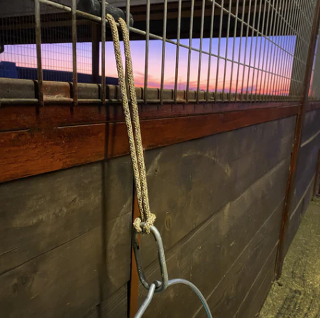 Hay Chix Bucket Strap - Oat