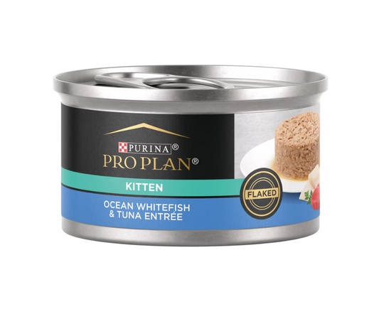Pro Plan Development Ocean Whitefish & Tuna Flaked Wet Kitten Food