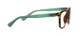 Peepers Hall Tortoise/Green Reading Glasses