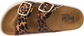 Corkys Rumor Has It in Leopard