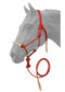 Tough1 Rawhide Noseband Rope Halter with Lead