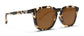 Blenders Tort Sydney Sunglasses