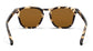 Blenders Tort Sydney Sunglasses