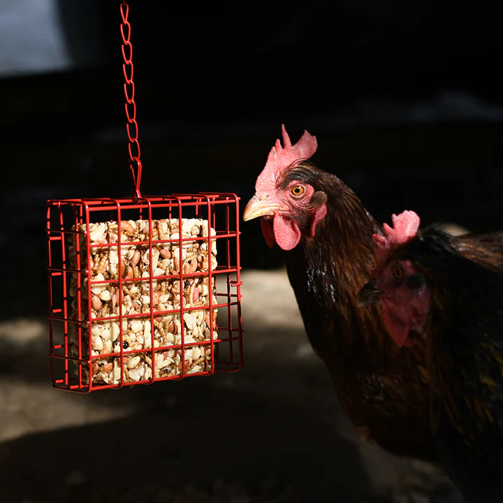 Happy Hen Treat Square Basket