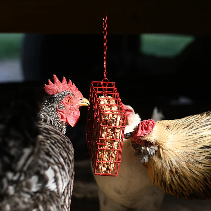 Happy Hen Treat Square Basket