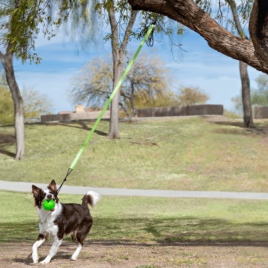 Jolly Pets Tree Tugger