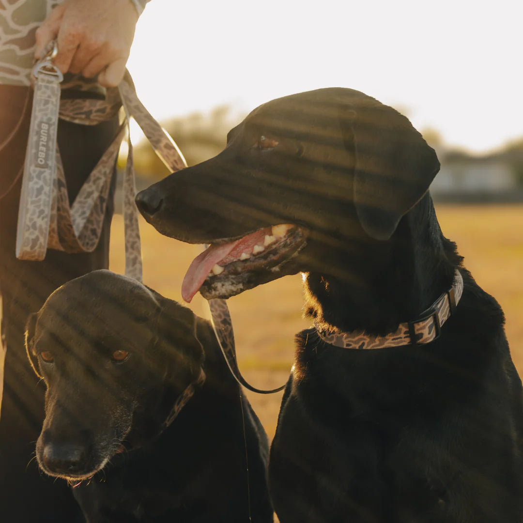 Burlebo Dog Leash in Classic Deer Camo