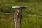 Vineyard Max 5 in 1 Grunt Call