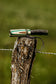 Vineyard Max 5 in 1 Grunt Call