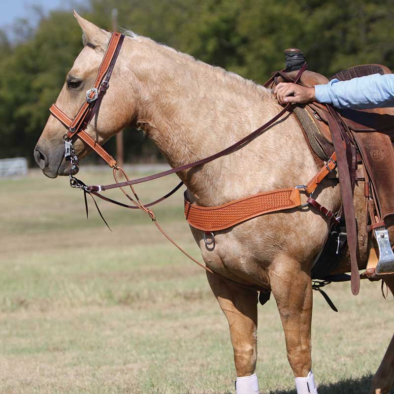 Cowboy Tack 1-1/4” Golden Leather Spider Stamp Noseband