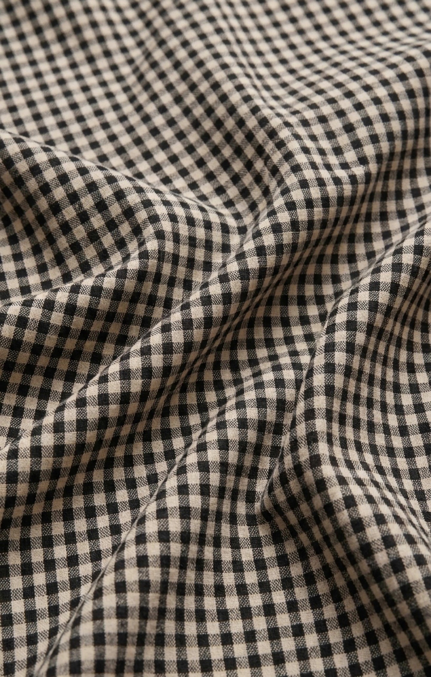 Z Supply Brooke Gingham Maxi Skirt