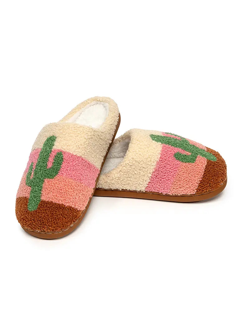 Cactus in a Desert Slippers