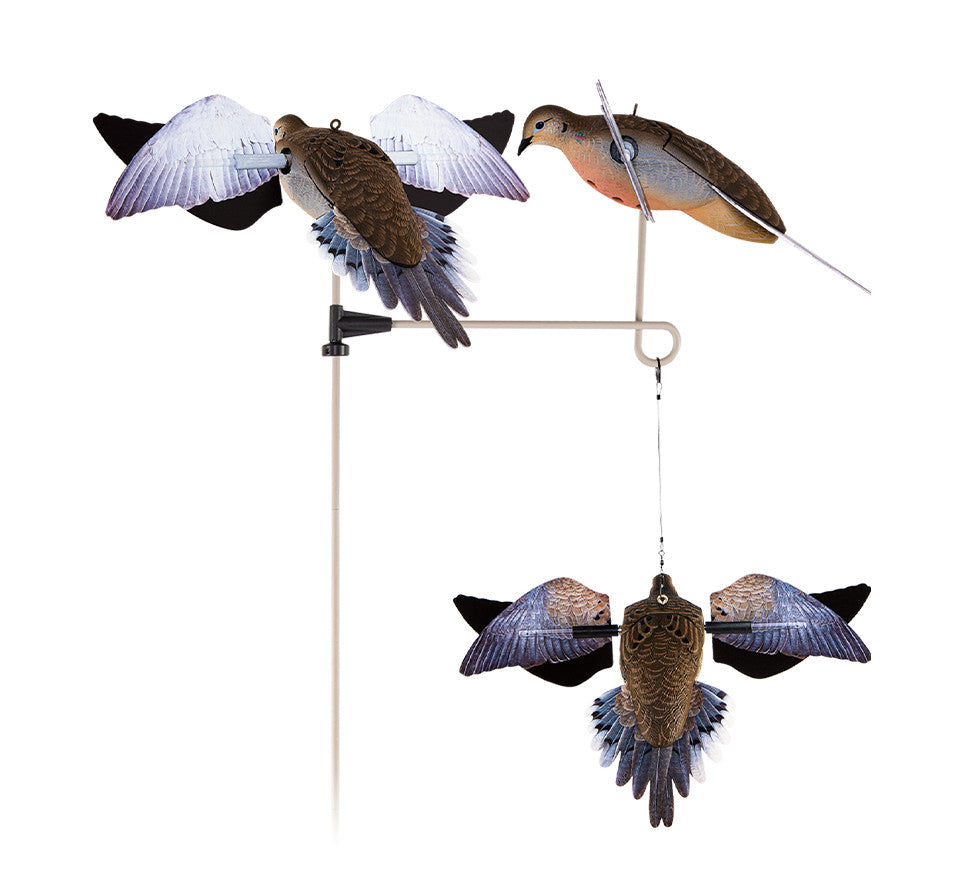 Avian Powerflight Dove