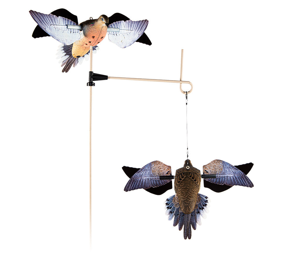 Avian Powerflight Dove