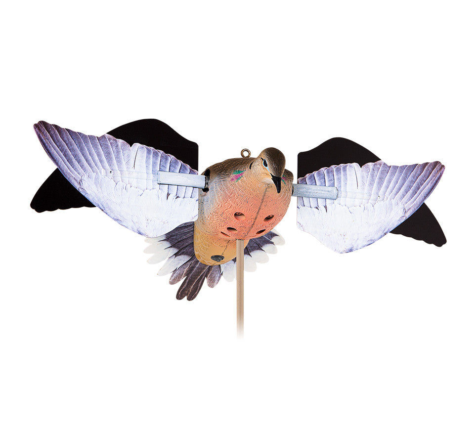Avian Powerflight Dove