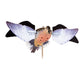 Avian Powerflight Dove