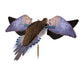 Avian Powerflight Dove