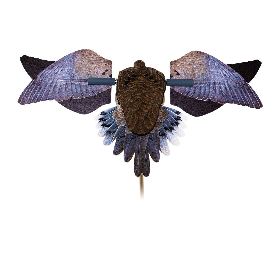 Avian Powerflight Dove
