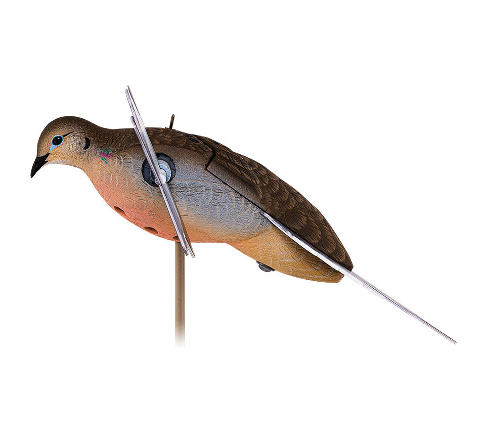 Avian Powerflight Dove