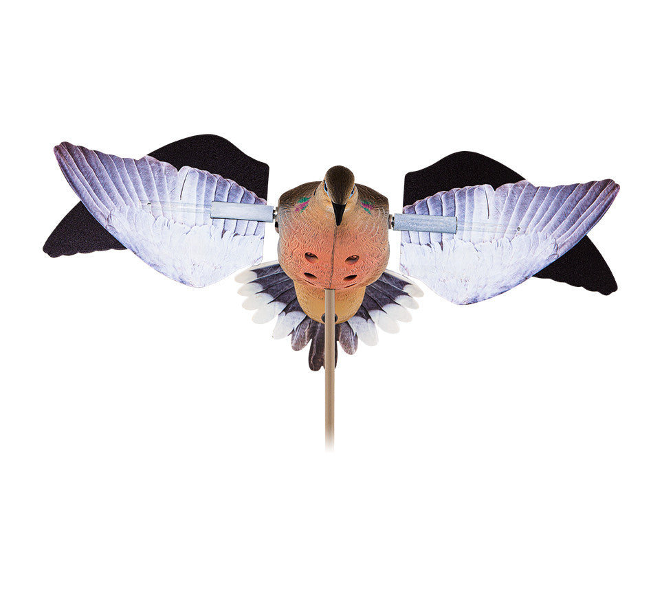 Avian Powerflight Dove