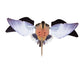 Avian Powerflight Dove