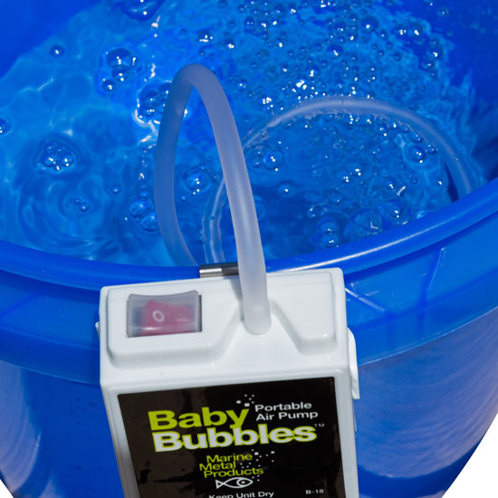 Marine Metal Products Baby Bubbles
